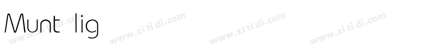 Munt light字体转换